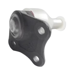 سيبك طبق جلو چپ